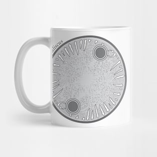 Diatom - Auliscus (scientific) Mug